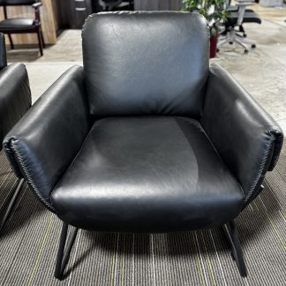 Peyton Upholstered Lounge Chair